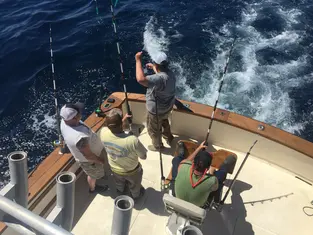 2017 Carolina Beach Fishing Photo - Wild Rover III