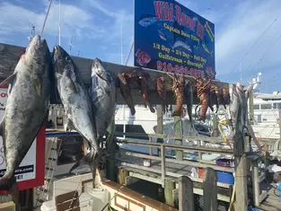2021 Carolina Beach Fishing Photo - Wild Rover III