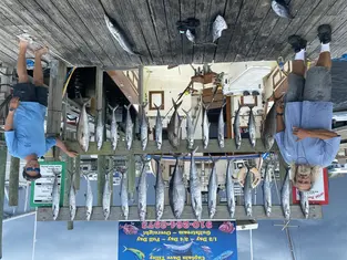 2021 Carolina Beach Fishing Photo - Wild Rover III